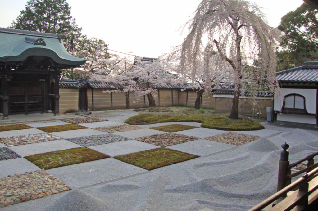 kyoto-cherry-blossom-kodaiji
