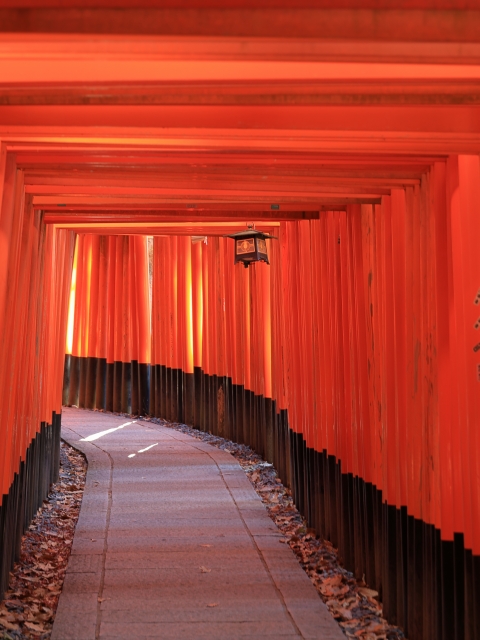 kyoto-fushimi-inari