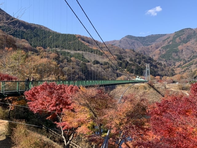nasu kogen tochigi