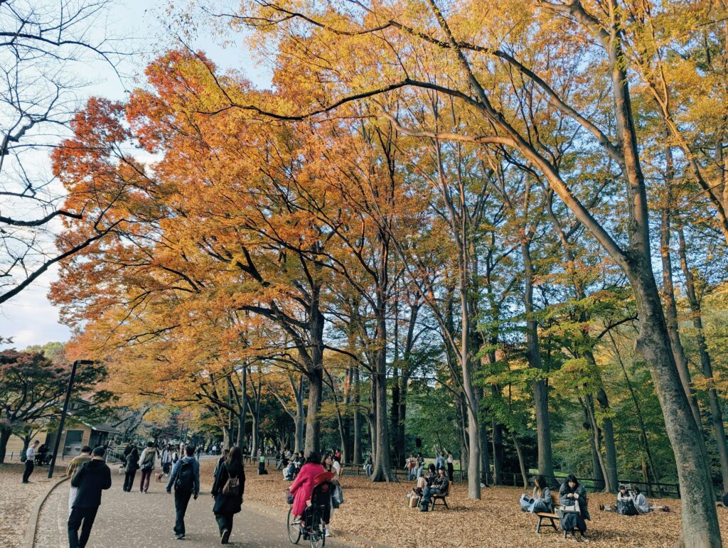 showa kinen park autumn
