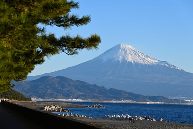 miho no matsubara fuji