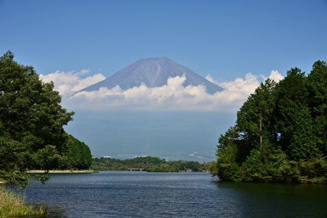 tanukiko lake fuji